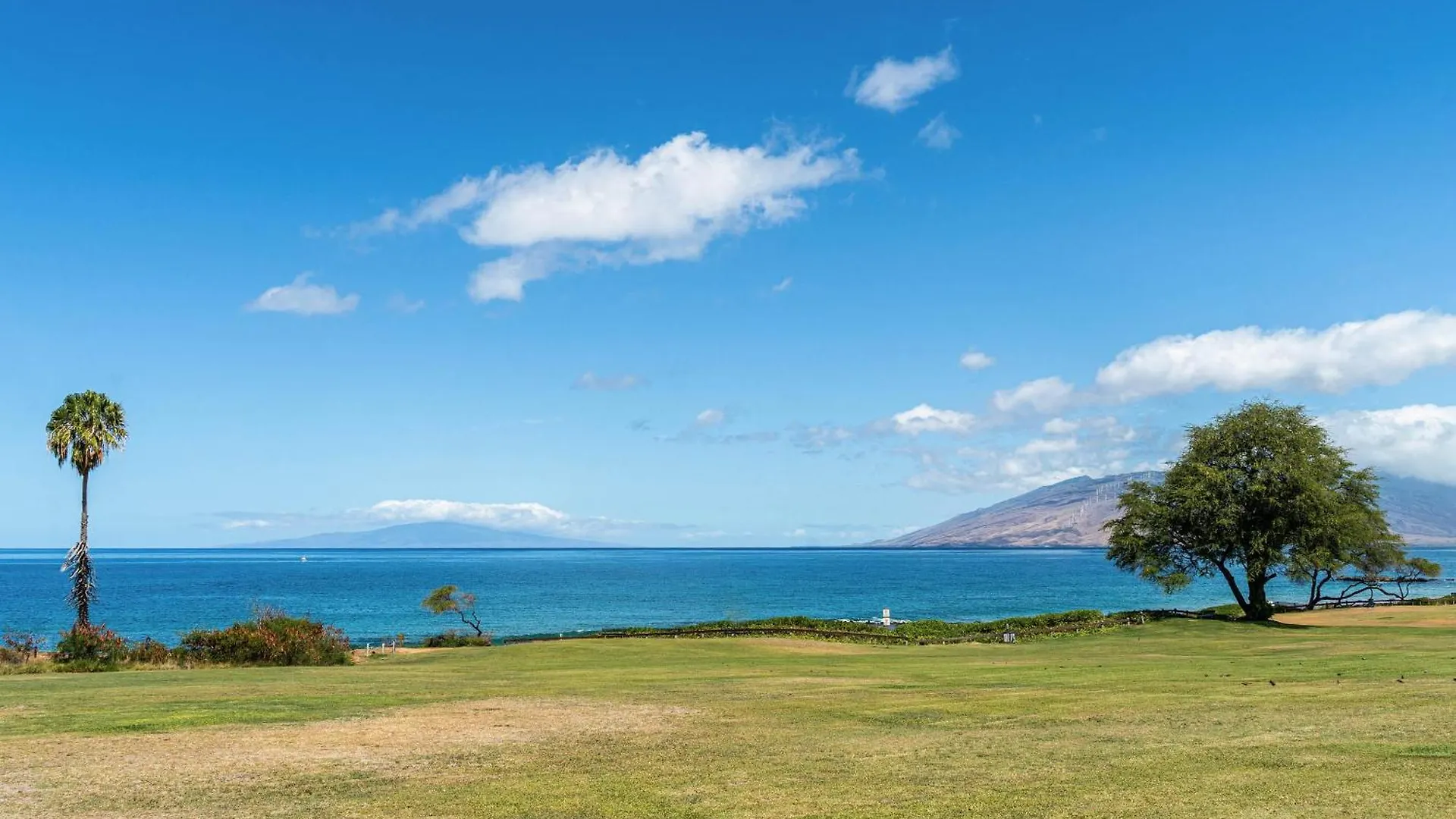 Maui Kamaole C-109 Lejlighed Wailea