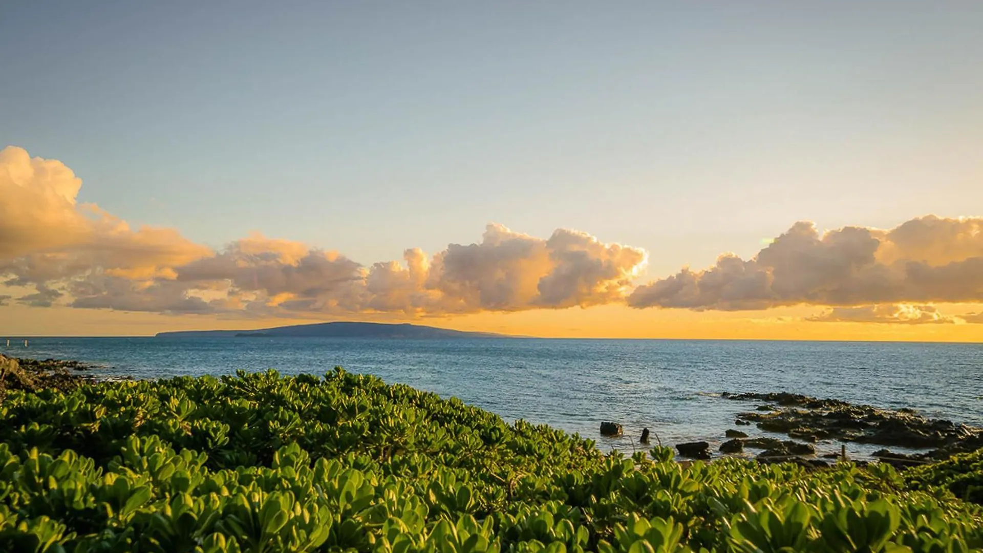 Maui Kamaole C-109 Lejlighed Wailea  0*, Wailea (Maui) USA